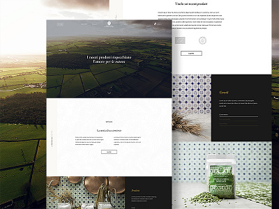 Montalera branding design elegant flat minimal site ui web