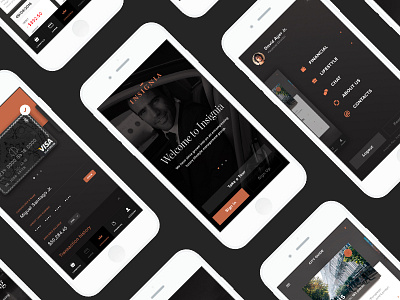 Insignia finance concierge, app design