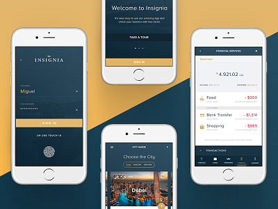 New concept Insignia finance concierge, app design