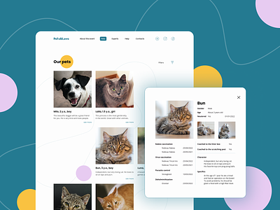 Take a friend — charity event site concept animals charity concept design design concept pets shelter site concept ui uiux user experience user interface ux web web design website