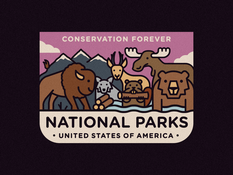 National Parks 2d bear beaver bison cloud deer design flat grand tetons icon illustration logo moose mountains national park vector wolf