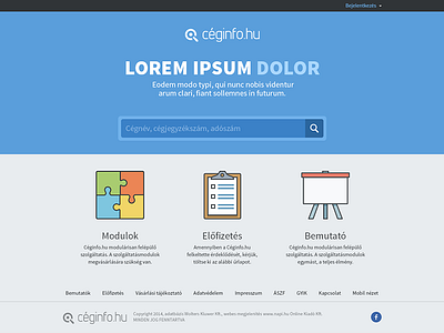 Céginfo.hu redesign company data database enterprise individual website
