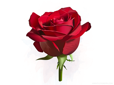 Rose flower gradient illustration photoshop red vector