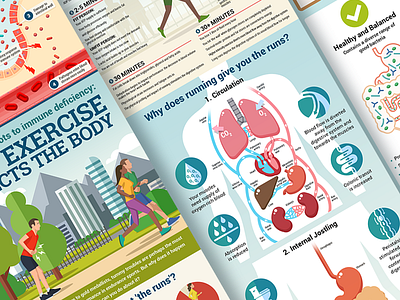 Sports and digestion infographic bacteria digestive illustration infographics sport vector