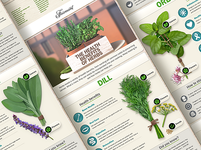 Herbs infographic