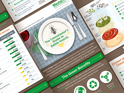 Eating insects infographic