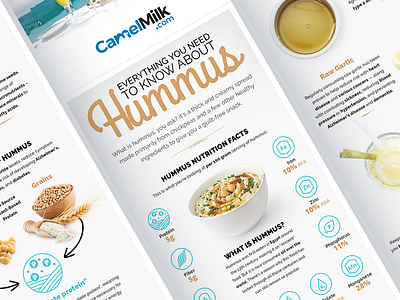 Hummus infographic food grain health icon illustration infographics ingredient meal oil protein vitamin