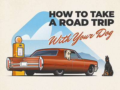 Road Trip With Dog - infographic header