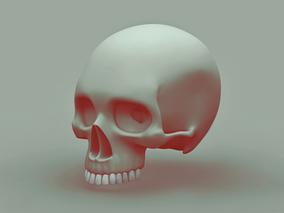 Skull 3d body model object skull tooth wip