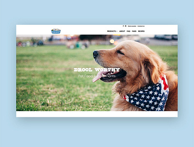 Nummy Tum Tum Web Design pet food website small business webdesign website design wordpress
