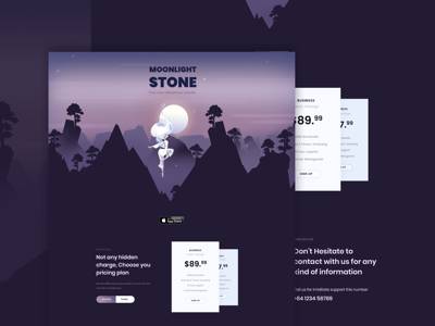 Moonlight Stone | Landing Page banner card dailyui fairy header illustration landing landingpage logo popup typography uiux