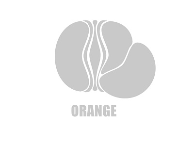 Orange Logo brand branding creative logo design font icon identity illustration logo design logofolio logos orange vector