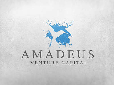 Logodesign - Amadeus Venture Capital branding ci corporate design graphicdesign logo logodesign