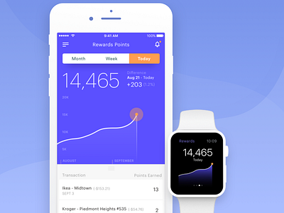 Rewards Points Tracking Concept - Fintech app chart data vis fintech flat graph ios minimal mobile purple