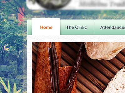 Bamboo inspired nav/header clean green organic web design website zen