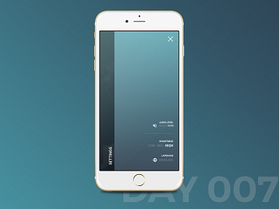 #007 - Settings dailyui