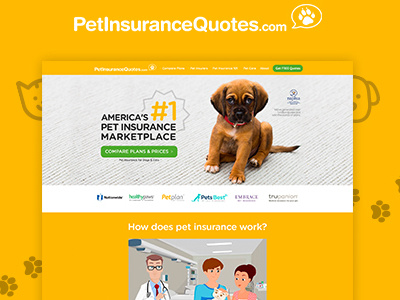 Pet Insurance