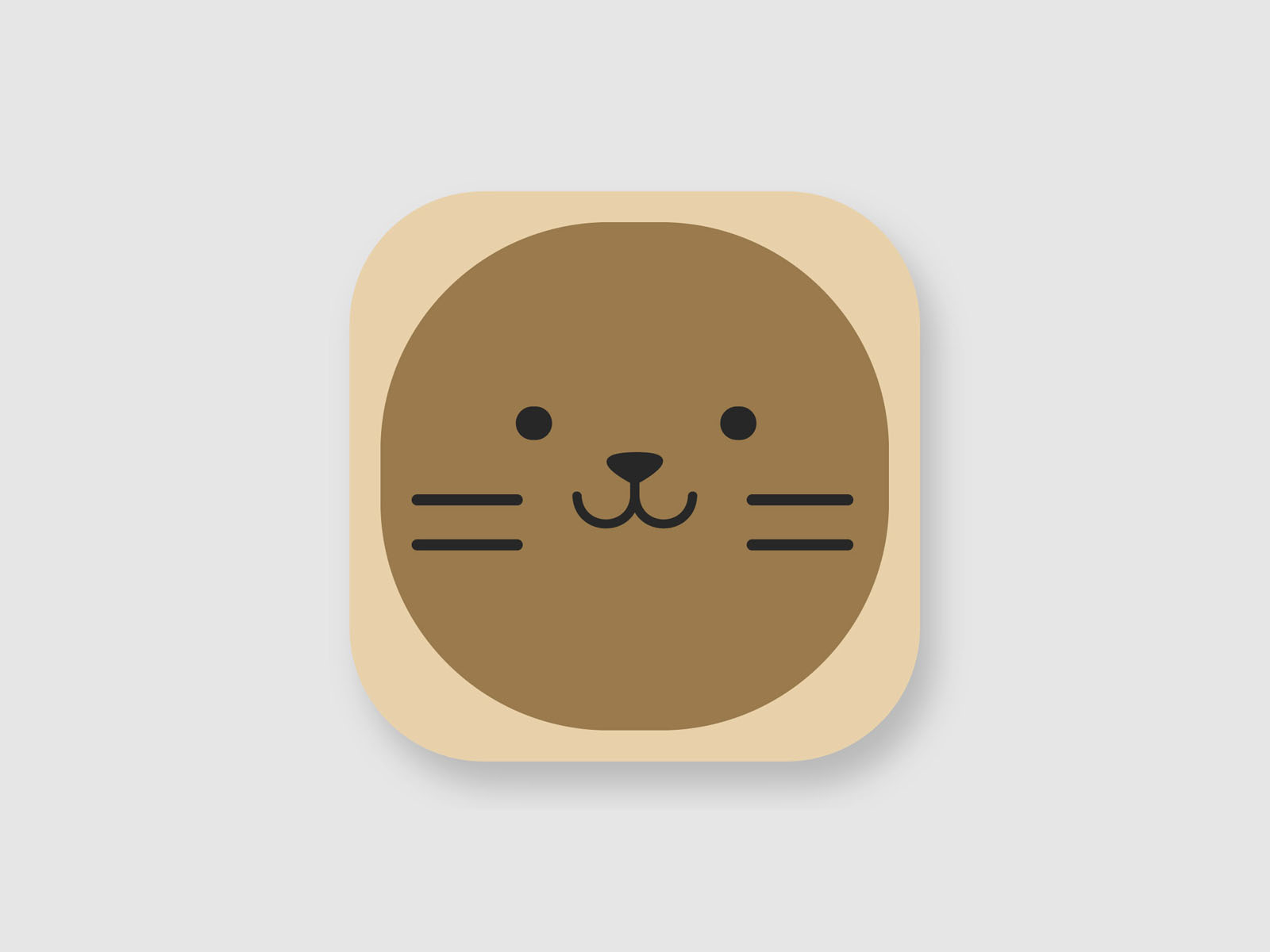 Cats are Cute app icon brown aesthetic em 2023