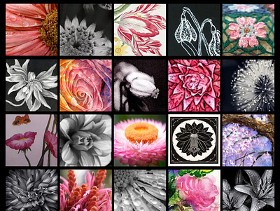 Flower 5x5 Grid blackandwhite bw floral flower grid pink