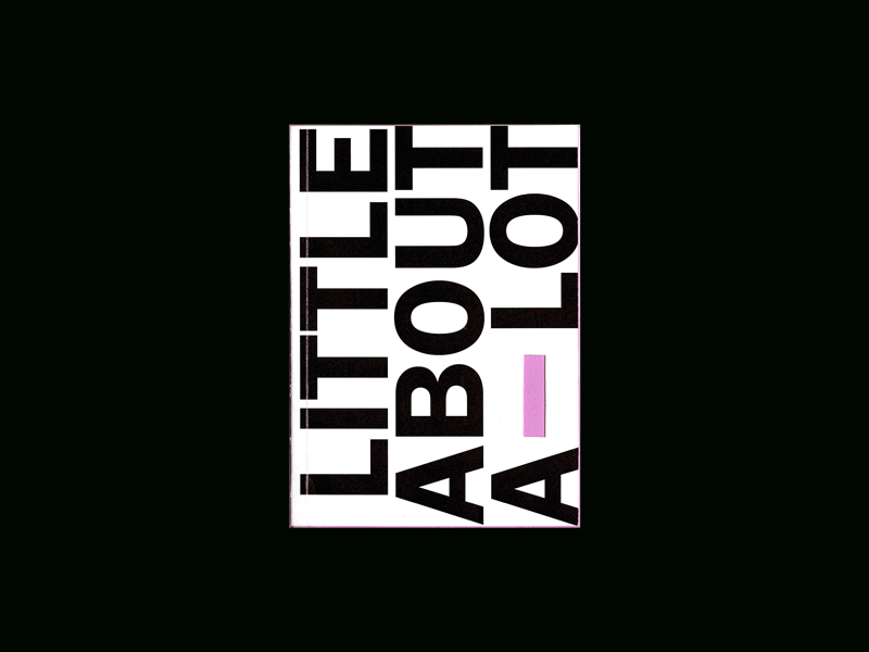 A Lot About A Little About A Lot print franklin gothic typography french paper book binding trivia indesign layout graphic design book