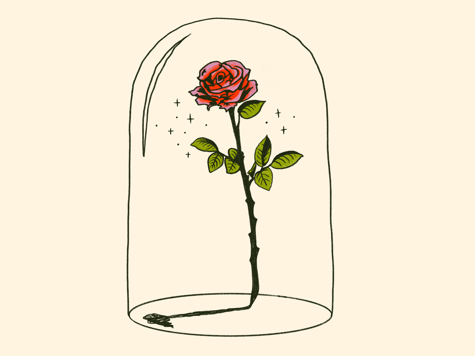 Inktober Day 8 - Frail illustration inktober procreate rose