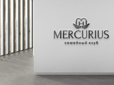 Logo branding design graphic design logo logotype mockup promotion vector