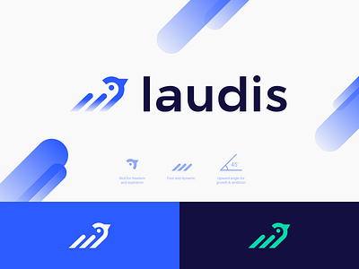 Branding - laudis