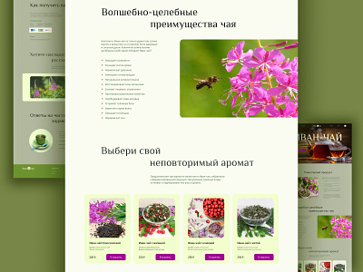 Landing page about tea drink design graphic design typography ui