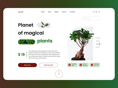 Plant Shop Website design ficus figma flower garden home page landing minimal nature plant plant shop ui ux web design