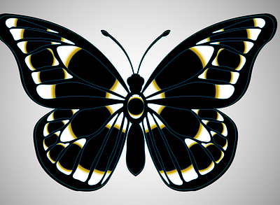 Butterfly Illustration