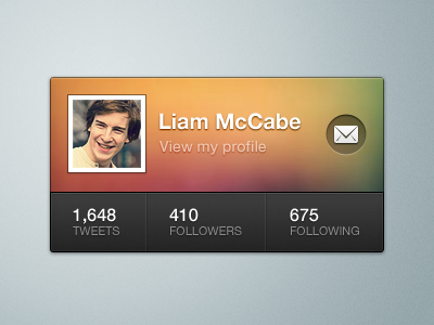Twitter Widget twitter widget interface elements