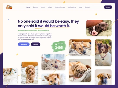 Northern California All Breed Rescue cat cats design dog dogs graphic design homepage landing pet pets pets rescue rescue ui uiux ux web web design webdesign website