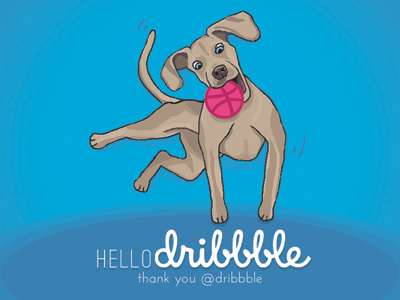 Hello Dribbble dog dogrose media hello dribbble