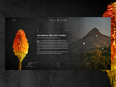 Tropic Flower concept flower flowers landscape nature timeline