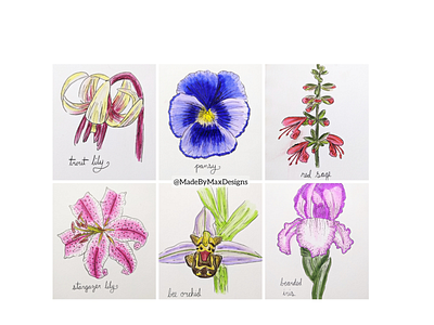 Botanical Flower Sketches art botanicals creative design drawing fineline flowers hand drawn illustration linework