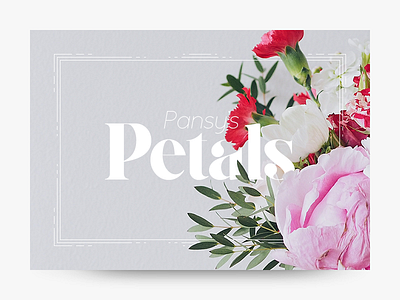 Product style card: Flower Shop card cards clean composition flower flowers minimal product card type typography ui