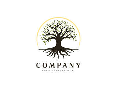 Oak banyan tree logo design with tree and root vector