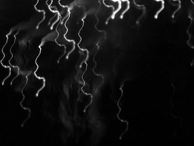 [39/42] black and white dot focus light line long exposure night photography
