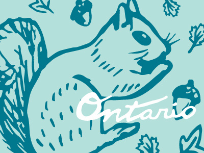 Squirrely Pattern acorn canada illustration leaves lettering ontario pattern squirrel turquoise vector