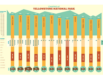 Camping at Yellowstone Infographic camping graphic design illustration info infographic nature yellowstone