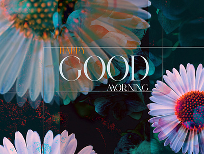 Good Morning poster card design graphic design poster card