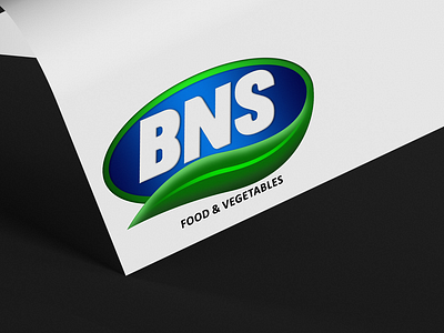 Logo Deisgnz for BNS Food & Vegetables