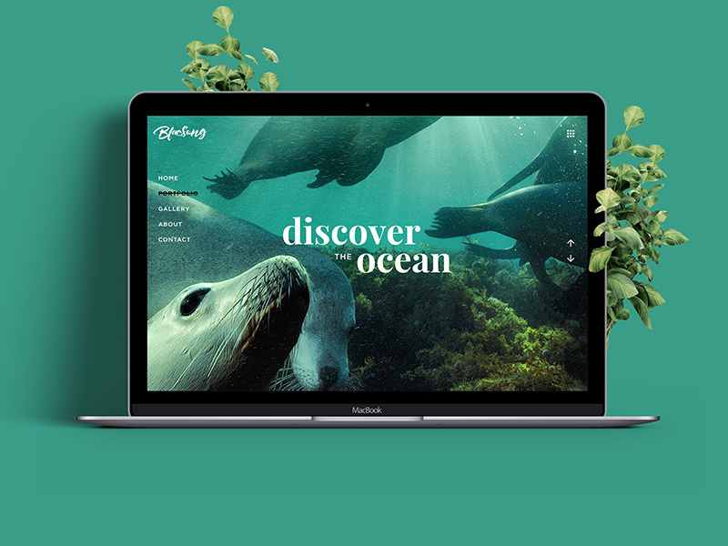 Portfolio of underwater photographer slider menu photographer portfolio national geographic nature ocean green