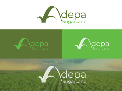 Adepa Sugarcane Logo branding design graphic design illustration logo typography vector