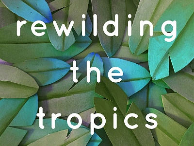 Rewilding the Tropics book cover book design cut paper drawing editorial novel painting typography