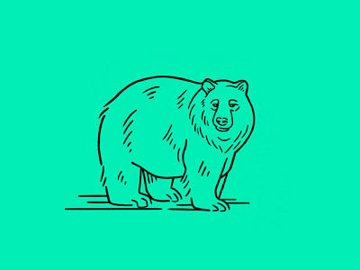 Bear animal bear drawing forest grizzly bear illustration procreate