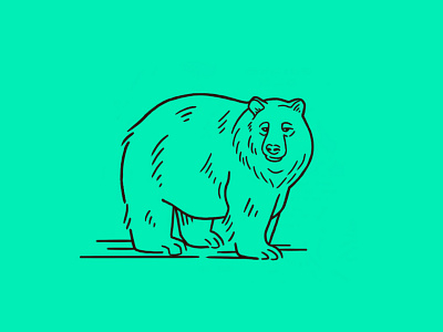 Bear