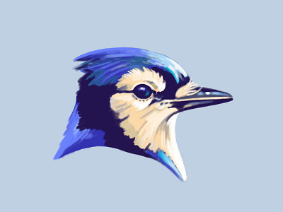 Blue Jay animal beak bird blue jay bluejay brush feathers gouache illustration painting procreate retro supply