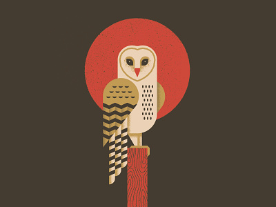 Barn Owl animal barn owl bird feathers geometric illustration nature outdoors owl poster sun vector wood