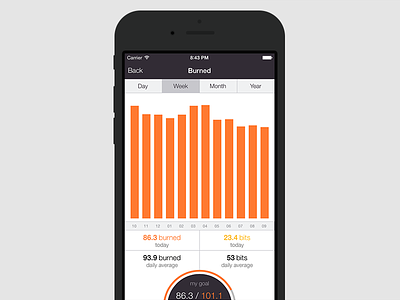 Foodzy Dashboard Detail app calories dashboard fitbit food foodzy health ios iphone nutrition